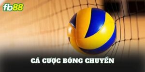 Cá Cược Bóng Chuyền