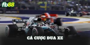 Cá Cược Đua Xe