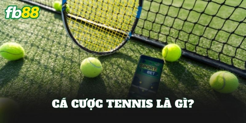 Cá cược tennis là gì?
