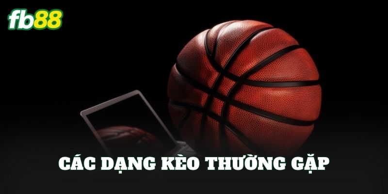 Cá Cược Bóng Rổ FB88: Cách Vào Kèo Dễ Hiểu Cho Người Mới 2 Các dạng kèo thường gặp