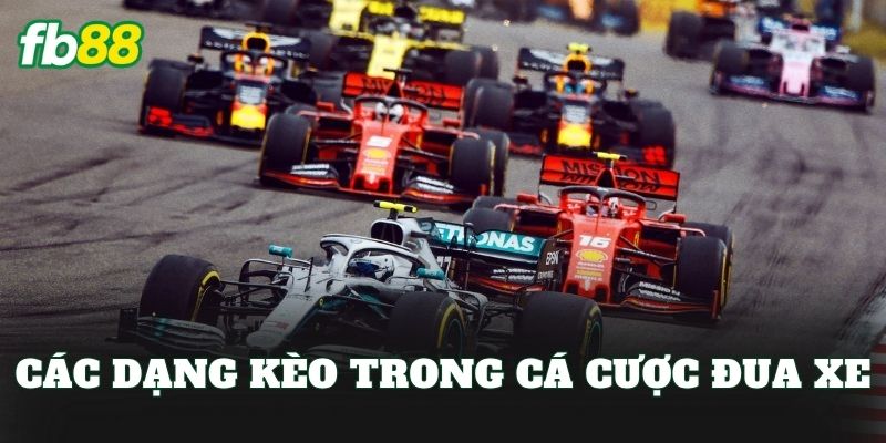 Cá Cược Đua Xe: Chiến Thuật Từ Cơ Bản Đến Nâng Cao 2 Các dạng kèo trong cá cược đua xe
