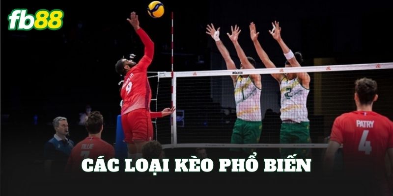 Cá Cược Bóng Chuyền: Hướng Dẫn Chơi Kèo Hiệu Quả 2 Các loại kèo phổ biến