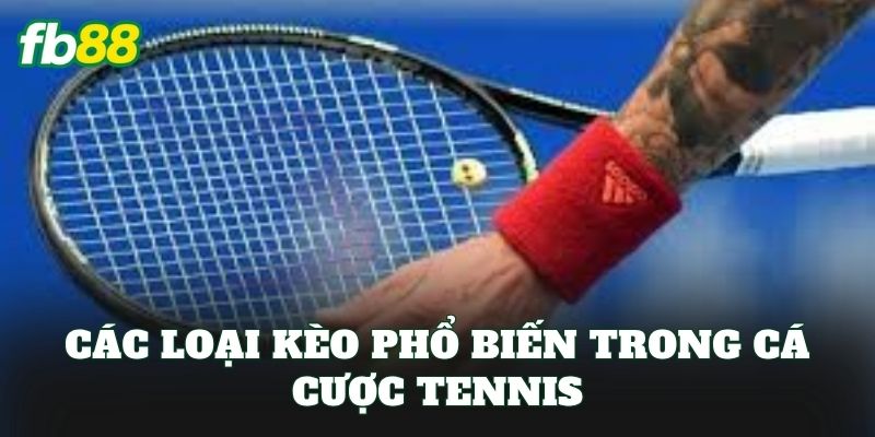 Các loại kèo phổ biến trong cá cược tennis