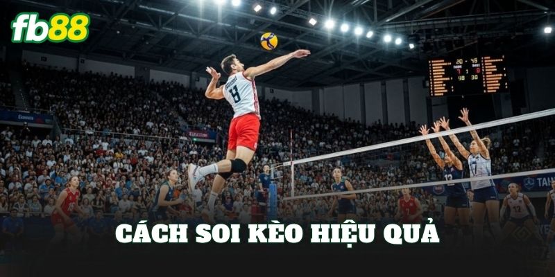 Cá Cược Bóng Chuyền: Hướng Dẫn Chơi Kèo Hiệu Quả 3 Cách soi kèo hiệu quả