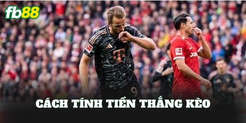Kèo Xiên Là Gì? Cách Chơi Kèo Hiệu Quả Cho Anh Em 2 Cách tính tiền thắng kèo