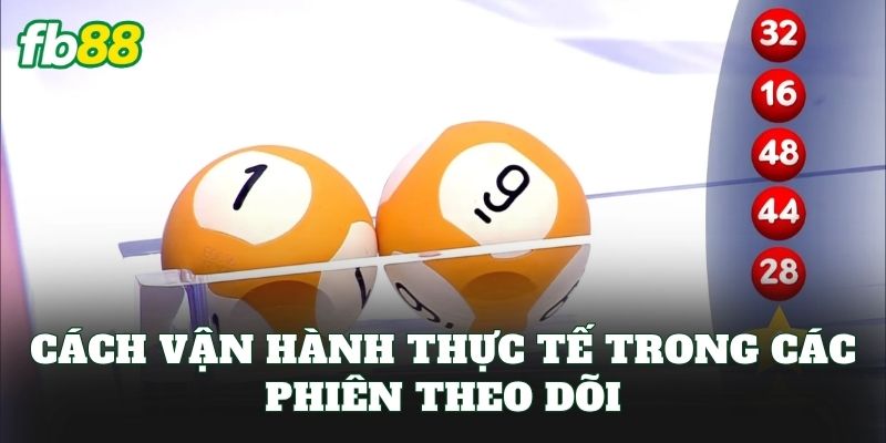 Nuôi Khung Bạch Thủ Lô: Cách Chơi Chuẩn Tư Duy FB88 2 Cách vận hành thực tế trong các phiên theo dõi