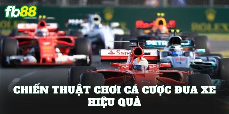 Cá Cược Đua Xe: Chiến Thuật Từ Cơ Bản Đến Nâng Cao 3 Chiến thuật chơi cá cược đua xe hiệu quả