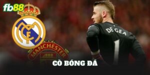 Cò bóng đá