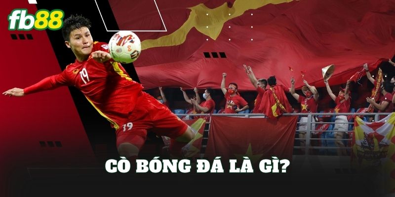 Cò bóng đá là gì?