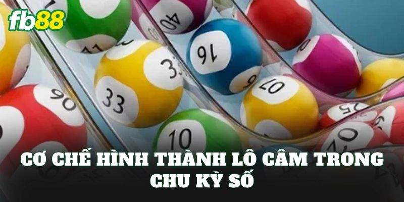 Cơ chế hình thành lô câm trong chu kỳ số