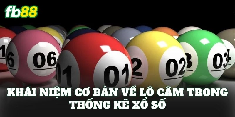 Khái niệm cơ bản về lô câm trong thống kê xổ số