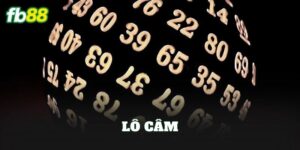 Lô Câm