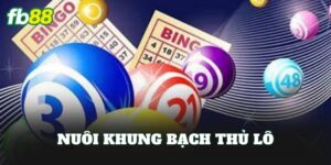 Nuôi Khung Bạch Thủ Lô