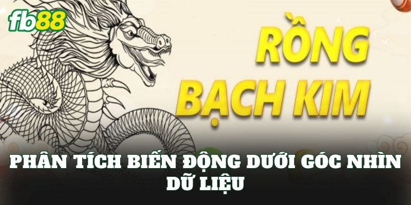 Phân tích biến động dưới góc nhìn dữ liệu