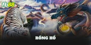Rồng Hổ