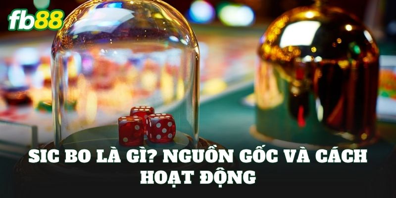 Sic Bo là gì? Nguồn gốc và cách hoạt động