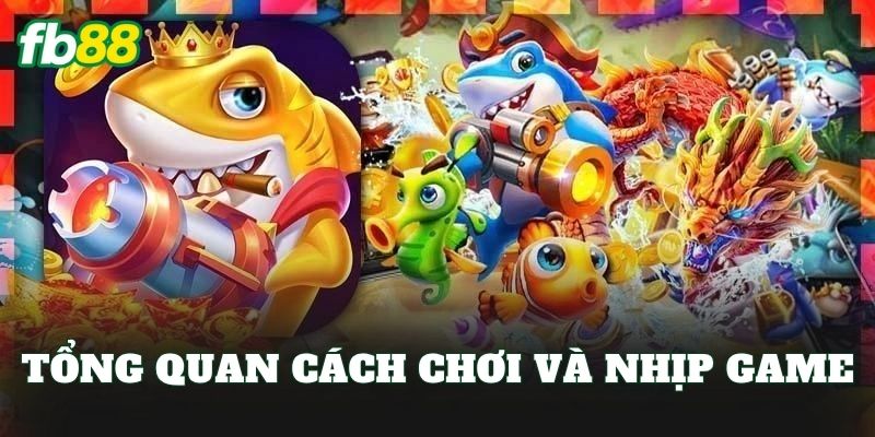 Tổng quan cách chơi và nhịp game