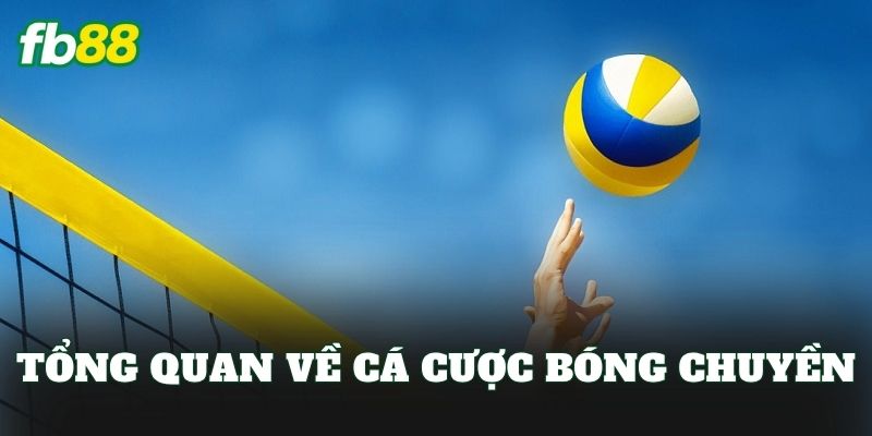 Cá Cược Bóng Chuyền: Hướng Dẫn Chơi Kèo Hiệu Quả 1 Tổng quan về cá cược bóng chuyền