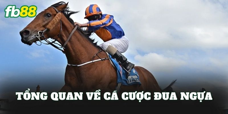 Tổng quan về cá cược đua ngựa