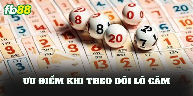 Ưu điểm khi theo dõi lô câm