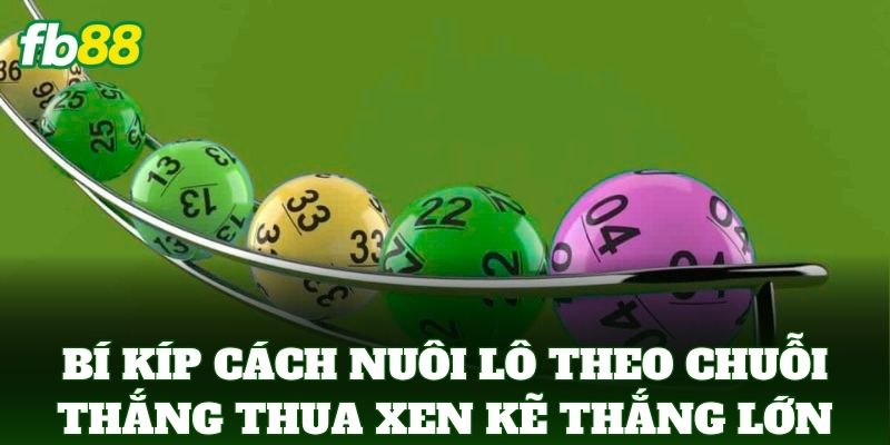 Bí kíp Cách Nuôi Lô Theo Chuỗi Thắng Thua Xen Kẽ thắng lớn