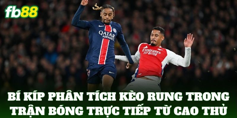 Phân Tích Kèo Rung Trong Trận Bóng Trực Tiếp Chuẩn FB88 3 Bí kíp Phân Tích Kèo Rung Trong Trận Bóng Trực Tiếp từ cao thủ