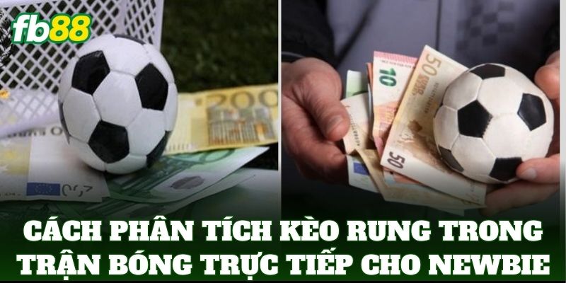 Phân Tích Kèo Rung Trong Trận Bóng Trực Tiếp Chuẩn FB88 1 Cách Phân Tích Kèo Rung Trong Trận Bóng Trực Tiếp cho người mới