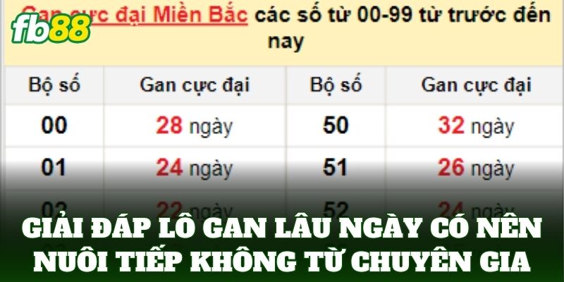 Lô Gan Lâu Ngày Có Nên Nuôi Tiếp Không: Lời Khuyên Từ FB88 2 Giải đáp Lô Gan Lâu Ngày Có Nên Nuôi Tiếp Không từ chuyên gia