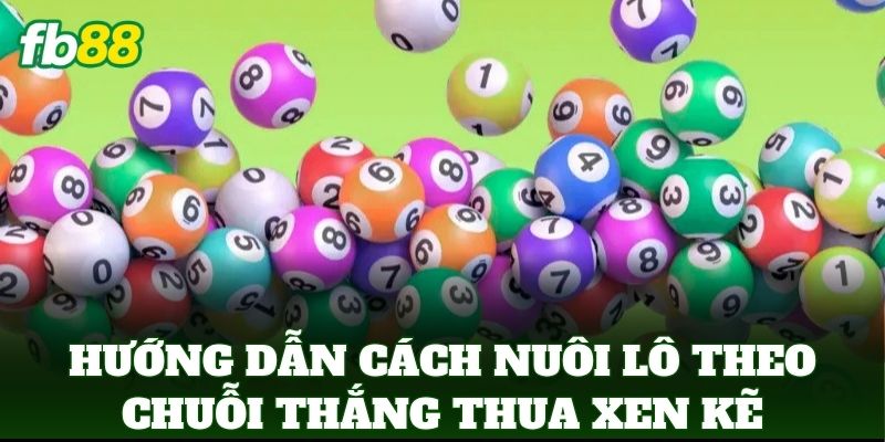 Hướng dẫn Cách Nuôi Lô Theo Chuỗi Thắng Thua Xen Kẽ