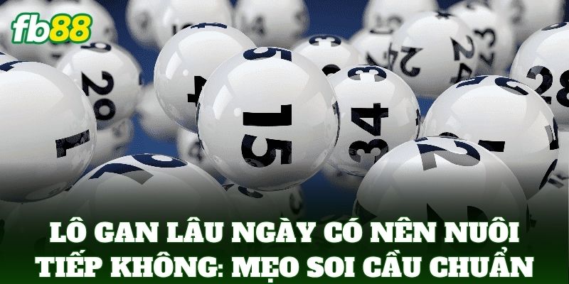 Lô Gan Lâu Ngày Có Nên Nuôi Tiếp Không: Lời Khuyên Từ FB88 3 Lô Gan Lâu Ngày Có Nên Nuôi Tiếp Không: Mẹo soi cầu cực chuẩn