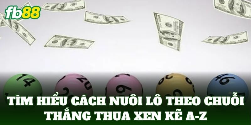 Tìm hiểu Cách Nuôi Lô Theo Chuỗi Thắng Thua Xen Kẽ A-Z