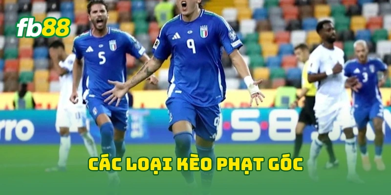 Mẹo Chơi Kèo Phạt Góc: Bí Quyết Nâng Cao Tỷ Lệ Thắng Cược! 3 Các loại kèo phạt góc