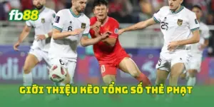 Giới thiệu kèo tổng số thẻ phạt