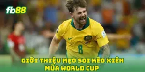 Giới thiệu mẹo soi kèo xiên mùa world cup