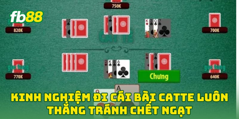 Kinh Nghiệm Đi Cái Bài Catte Luôn Thắng: 5 Tuyệt Kỹ Từ FB88 3 Kinh Nghiệm Đi Cái Bài Catte Luôn Thắng tránh chết ngạt