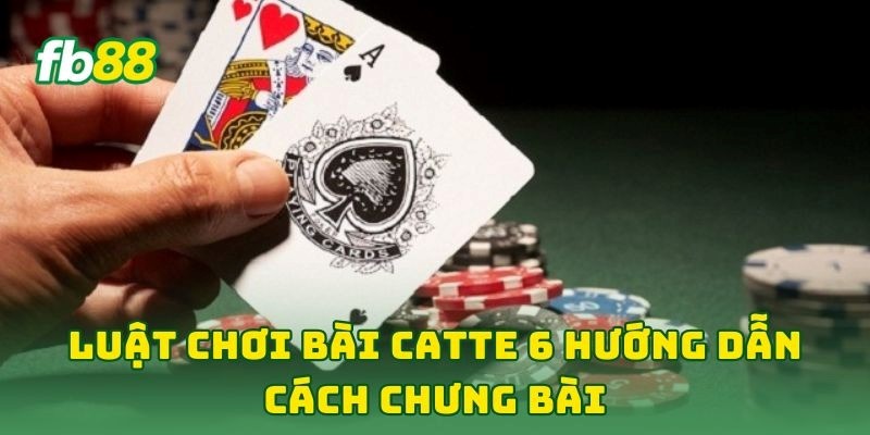 Luật Chơi Bài Catte 6: 5 Kinh Nghiệm Hay Giúp Về Bờ Siêu Tốc 3 Luật Chơi Bài Catte 6 hướng dẫn cách chưng bài