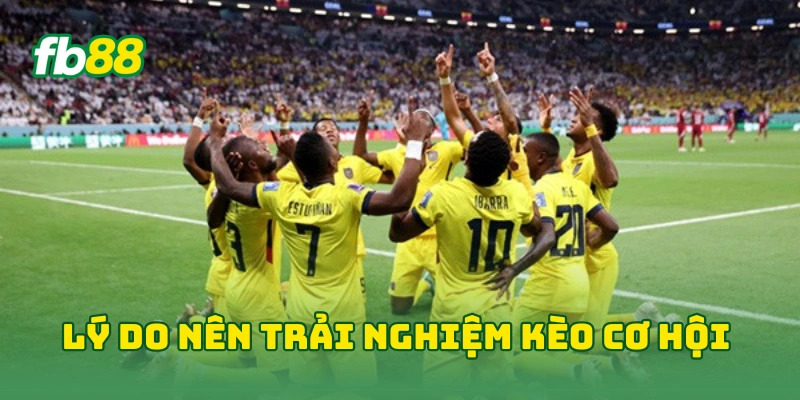 Kèo Cơ Hội Kép Hôm Nay - 7 Bí Kíp Nhận Định Tỷ Lệ Thắng Cao! 2 Lý do nên trải nghiệm kèo cơ hội