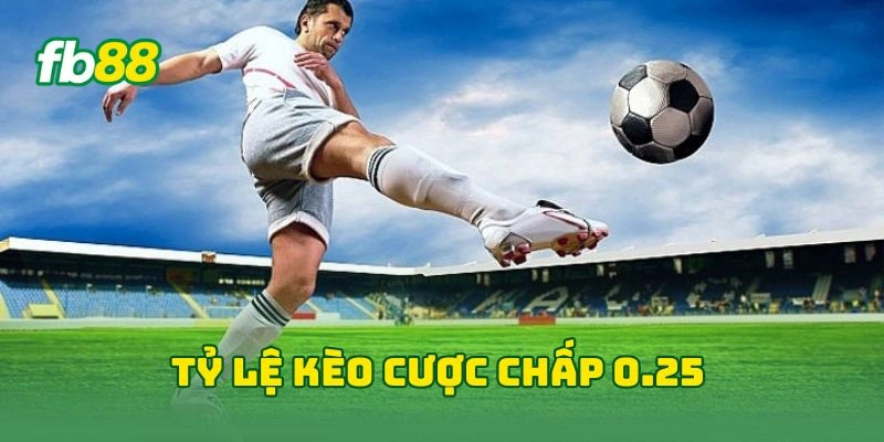 Tỷ Lệ Cược Chấp Hiệp 1 FB88 - 7 Cách Đọc Tỷ Lệ Kèo Hiệu Quả! 3 Tỷ lệ kèo cược chấp 0.25