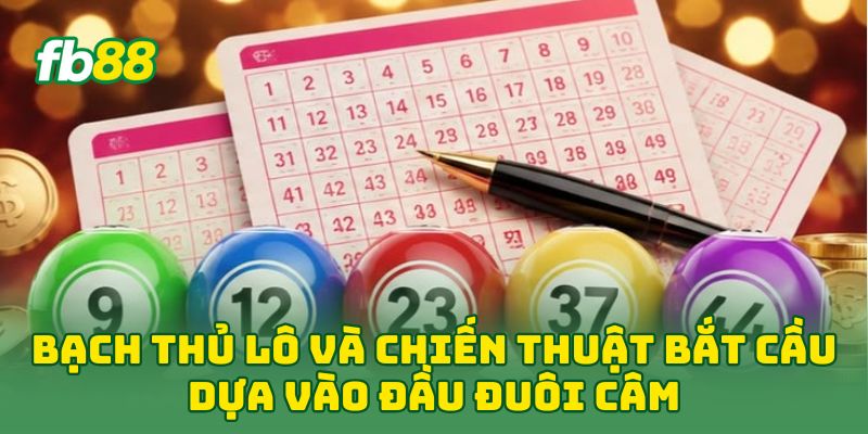 Bạch Thủ Lô: 5 Bí Mật Soi Cầu Độc Thủ Giúp Về Số Nhanh 3 Bạch Thủ Lô và chiến thuật bắt cầu dựa vào đầu đuôi câm