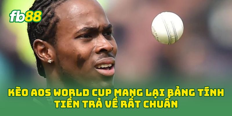 Kèo Aos World Cup mang lại bảng tính tiền trả về rất chuẩn