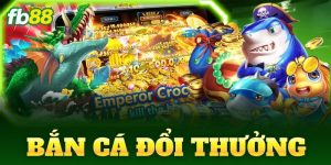 ban ca doi thuong