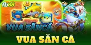 vua san ca