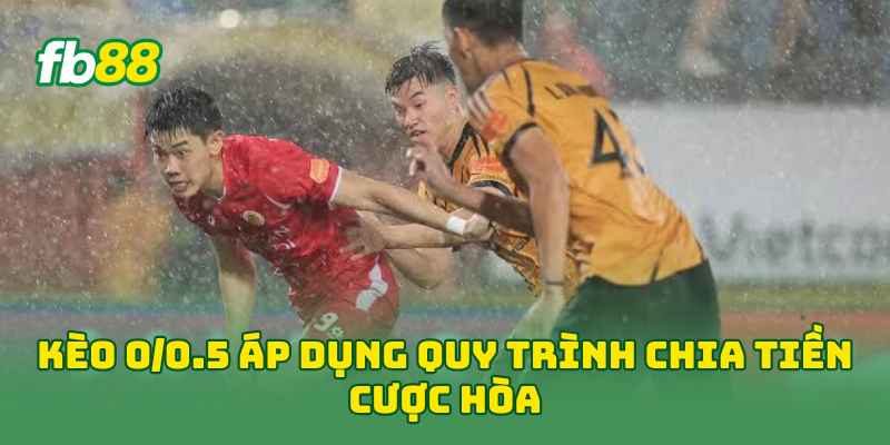 Kèo 0/0.5 áp dụng quy trình chia tiền cược hòa