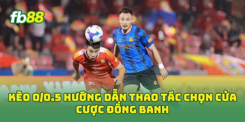 Kèo 0/0.5 là gì? Cách Đọc, Tính Tiền Cùng Kinh Nghiệm Cược 1 Kèo 0/0.5 hướng dẫn thao tác chọn cửa cược đồng banh