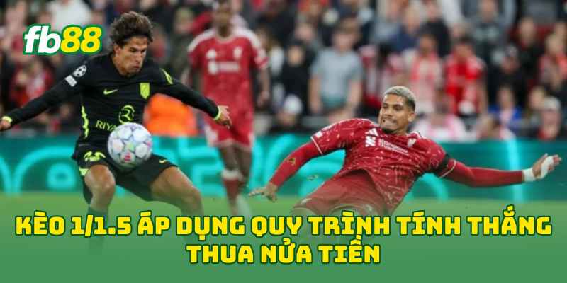 Kèo 1/1.5 áp dụng quy trình tính thắng thua nửa tiền